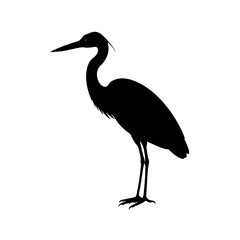 heron silhouette on white background