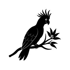 Bird silhouette on white background