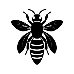bee silhouette on white background