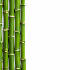 Fototapeta premium Vibrant Green Bamboo Stalks Illustration