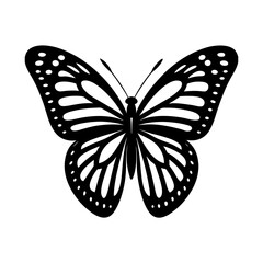 butterfly silhouette on white background