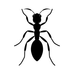 ant silhouette on white background