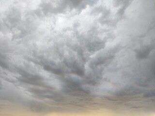 Obraz premium The life around us