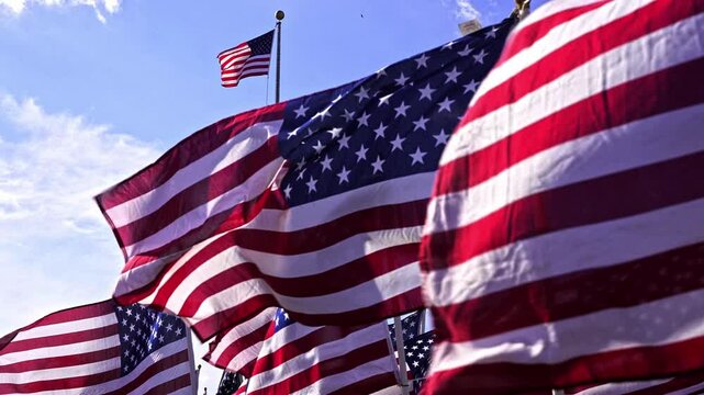 American flags waving proudly under a clear blue sky during a patriotic celebration at a local park