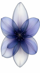 Purple translucent flower, digital art, white background, design element