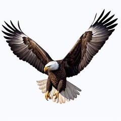 Majestic American Eagle in Flight with Detailed Feathers and Powerful Talons Against a Clean Background