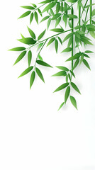 Naklejka premium Vibrant Bamboo Illustration: Lush Greenery