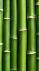 Fototapeta premium Vibrant Green Bamboo Stalks Background Image