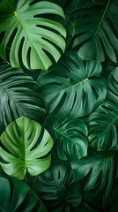 Lush Green Tropical Leaf Background Illustration