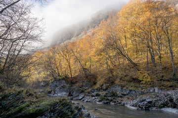 Obraz premium morning in a mountainous area, frost falling on the trees, the first rays of the sun awaken nature
