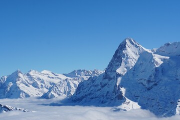 Obraz premium Mt. Eiger view from Birg Station - Switzerland 