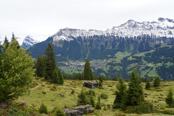 Fototapeta premium Scenery of Jungfrau region - Switzerland