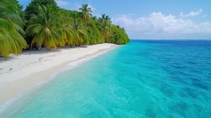 Tropical island beach with turquoise water, white sand, and lush green trees