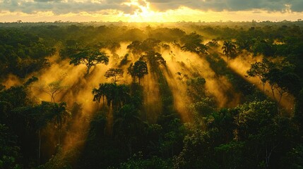 A breathtaking sunrise over a dense rainforest, with rays of light piercing through the misty canopy
