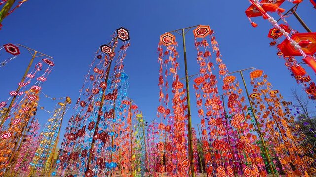 The sea of ​​Isaan thung, brightly colored thung swaying with the wind.