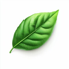 Fresh Green Leaf Isolated on White Background with Detailed Veins and Natural Texture, Perfect for Nature and Eco Themes