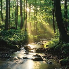 Obraz premium Sunlit Forest Stream Capturing the Serene Beauty of Nature with Lush Greenery and Sparkling Water