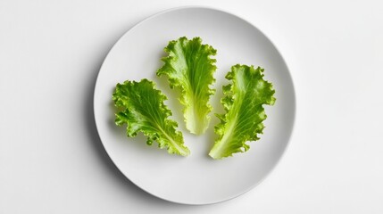 White round plate with a few green salad leaves, concept: Eating disorders, pressure, anorexia, copy and text space, 16:9