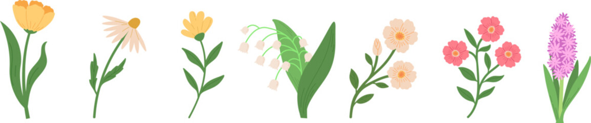 Set of spring blossom flowers vector illustrations. Hand draw style