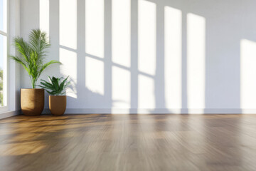 Fototapeta premium Bright interior space with plants and shadows creating a calming atmosphere
