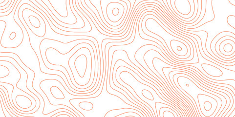 Topographic map background with geographic grid for hiking and mountain sport. modern design with white background and wave lines. Topographic contour lines vector map seamless pattern vector.