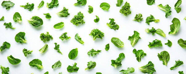 Fresh leafy green vegetables like kale, spinach, and lettuce arranged beautifully on light background, showcasing their vibrant colors and textures