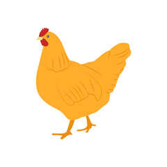 Hen, Farming Flat Vector Illustration