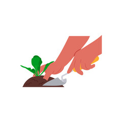 Gardening, Farming Flat Vector Illustration