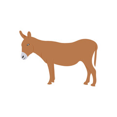 Donkey, Farming Flat Vector Illustration
