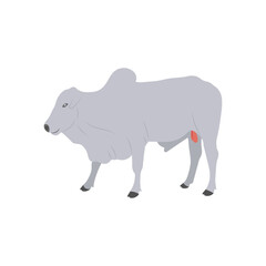 Ox, Farming Flat Vector Illustration