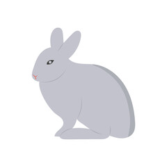 Rabbit, Farming Flat Vector Illustration