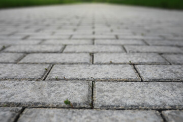 Close-Up of a Stone Pavement with Focus on Grass Growing Between the Stones