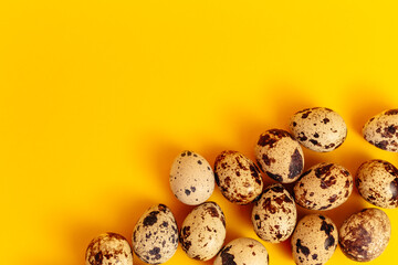 Quail eggs lays on yellow paper background with copy space or empty place for text. Easter holiday. Visiting card. Religious layout. Springtime design. Healthy food product. Farm organic production