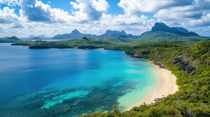Aerial panorama of a tranquil tropical beach with blue waters