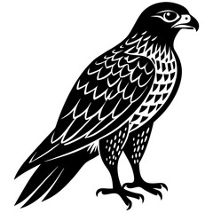 Hawk with talons silhouette vector illustration 