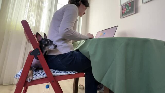 
Almaty, Kazakhstan - 02.02.2025 : A woman is sitting at her laptop, with her dog, in the kitchen. Work from home.