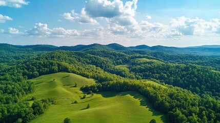 Rolling hills with rich green forests and clear blue skies