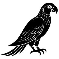Parrot with a beak curve silhouette vector illustration 