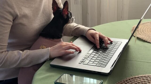 
Almaty, Kazakhstan - 02.02.2025 : A woman is sitting at her laptop, with her dog, in the kitchen. Work from home.