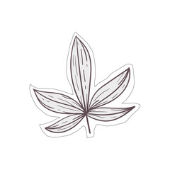 Aesthetic Leaf Sticker