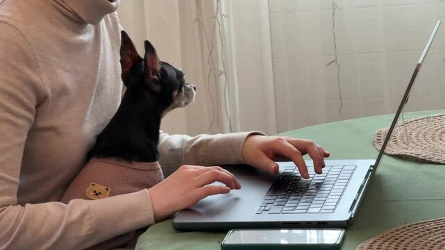 
Almaty, Kazakhstan - 02.02.2025 : A woman is sitting at her laptop, with her dog, in the kitchen. Work from home.