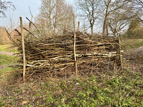Naturnahe Benjeshecke aus Totholz