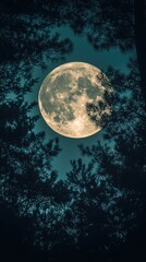Naklejka premium Full moon illuminated against a backdrop of dark pine trees in a serene night sky