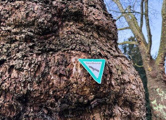 Ein alter Baum mit einem Schild Naturdenkmal in einem Park in Hilden, Deutschland