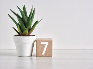 Number seven on wooden block next to succulent plant in white pot