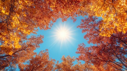 Vibrant autumn foliage frames a bright sunlit sky, creating a serene nature scene
