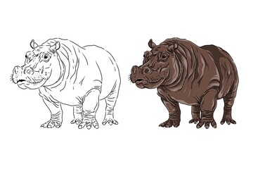 Hippopotamus image. Hippo sketch. Can be used as a book illustration. Illustrated hippo coloring book