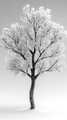 Fototapeta premium Detailed Snowy Tree Illustration