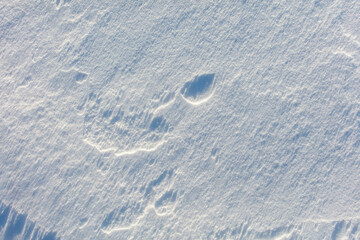 The snow is white and the ground is covered in it