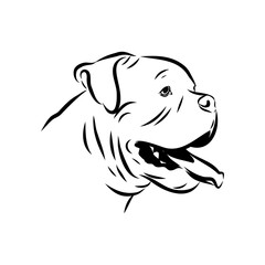 Fototapeta premium Alapaha Blue Blood Bulldog silhouette design